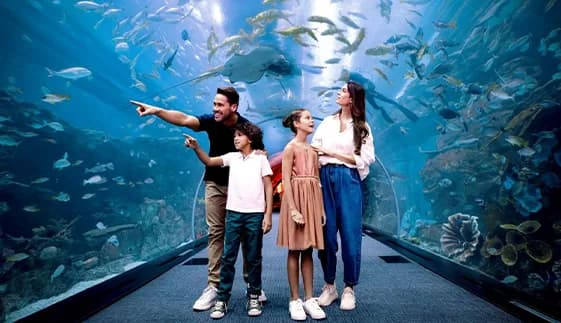 Dubai Aquarium & Underwater Zoo Ticket